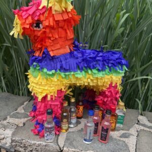 Liquor Pinata Booze Nip
