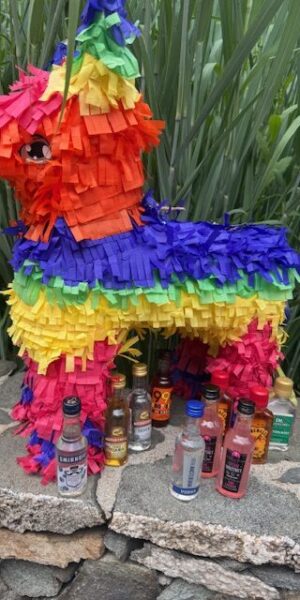 Liquor Pinata Booze Nip