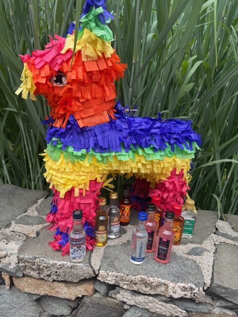 Liquor Pinata Booze Nip